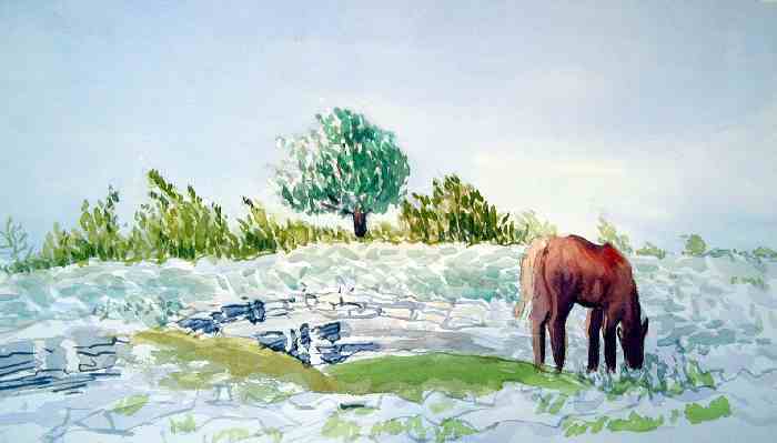 aquarelle de bernard landelle cheval en ardèche